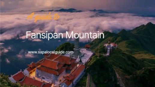 Fansipan Mountain, What Is Fansipan Known For? - Sapa Local