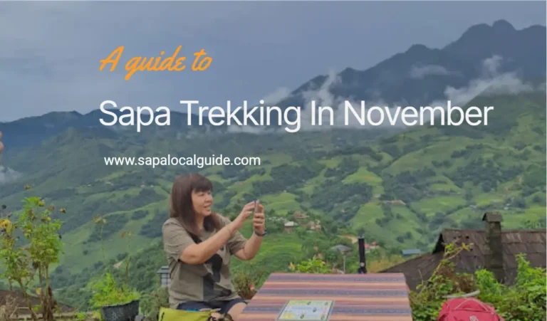 Sapa Local Trekking In November: An Ideal Time for a Visit