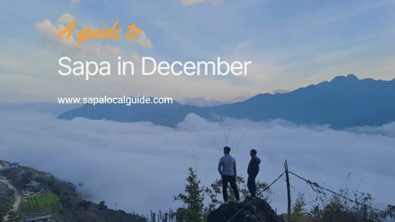 Sapa in December