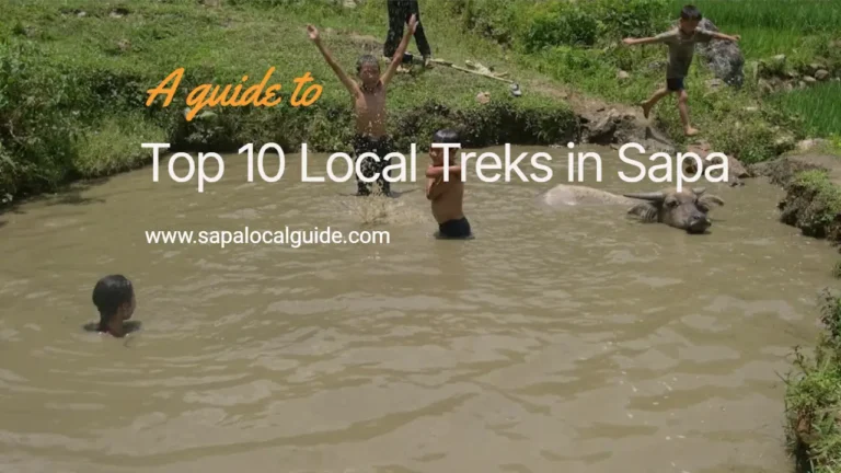 Discover the top 10 treks in Sapa (From Easy To Challenge)