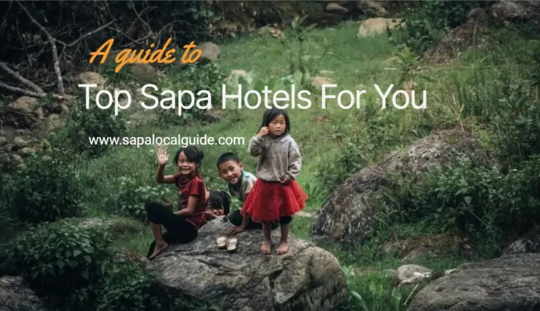 Top Sapa hotels for you
