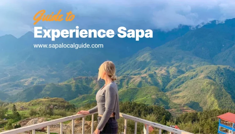 Experience sapa