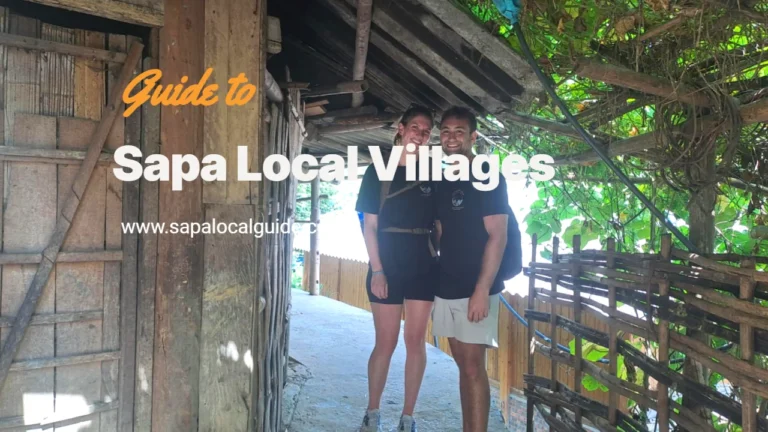 Sapa Local Village Tour: Authentic Mountain Adventures
