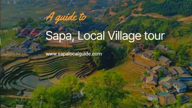 Discover Sapa to Ta Van on an unforgettable village trek