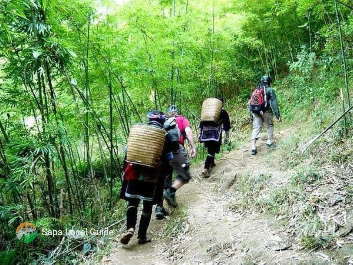 Local Tips & Travel Hacks for Sapa vs Ha Giang