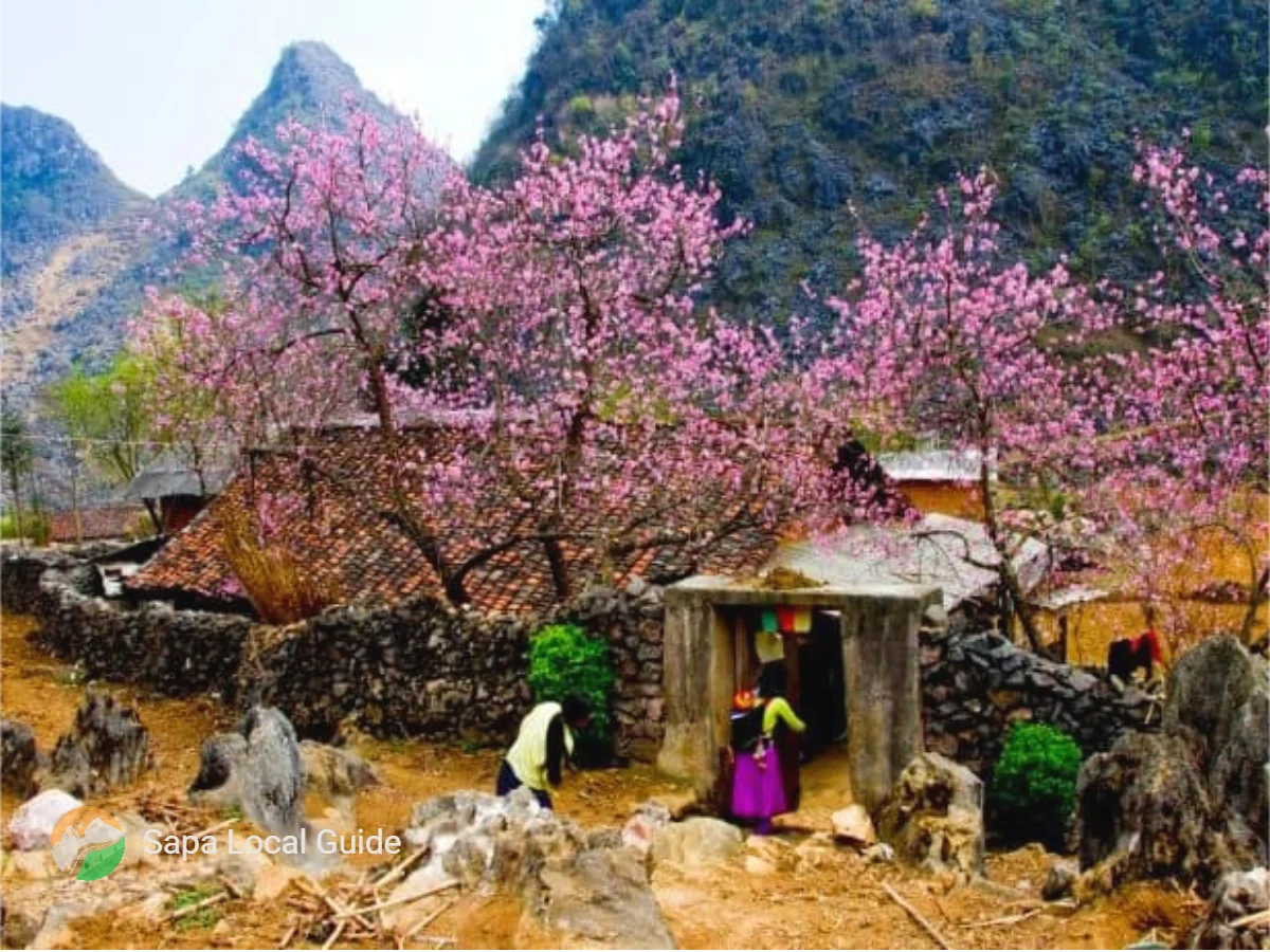 Why Ha Giang Is Vietnam Most Authentic Destination