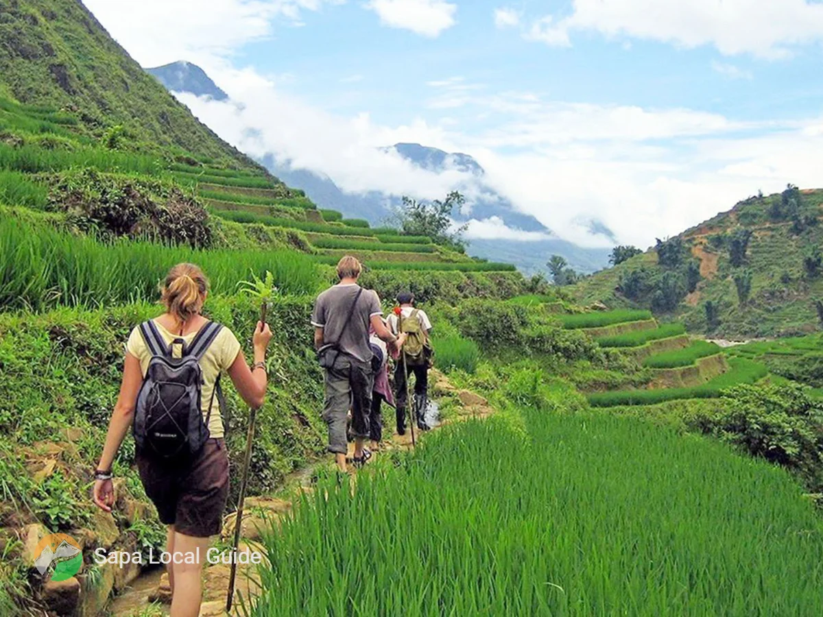 Best Sapa Valley Trails: Experience Authentic Local Hiking