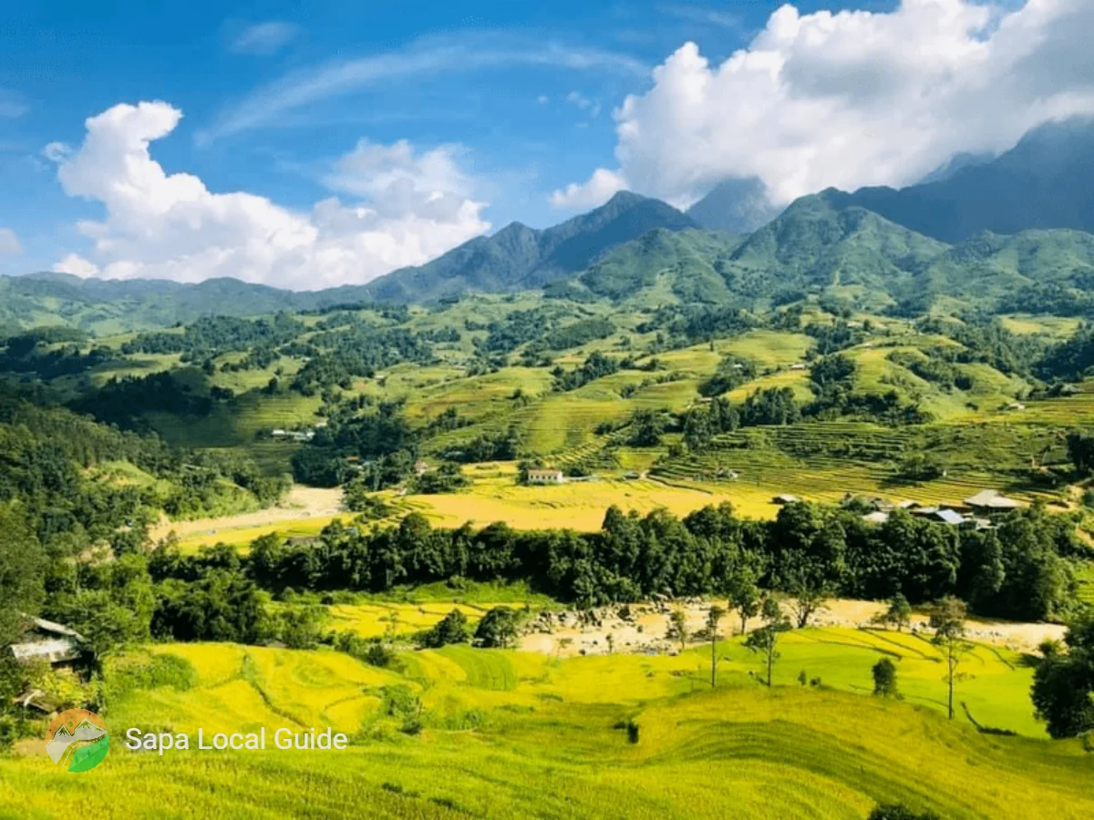 Why Sapa Valley Is Perfect for Authentic Local Hiking