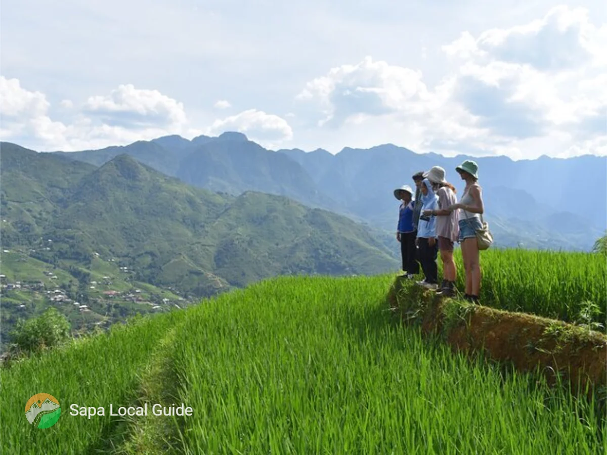Top Valley Trails for the Best Hiking Experience