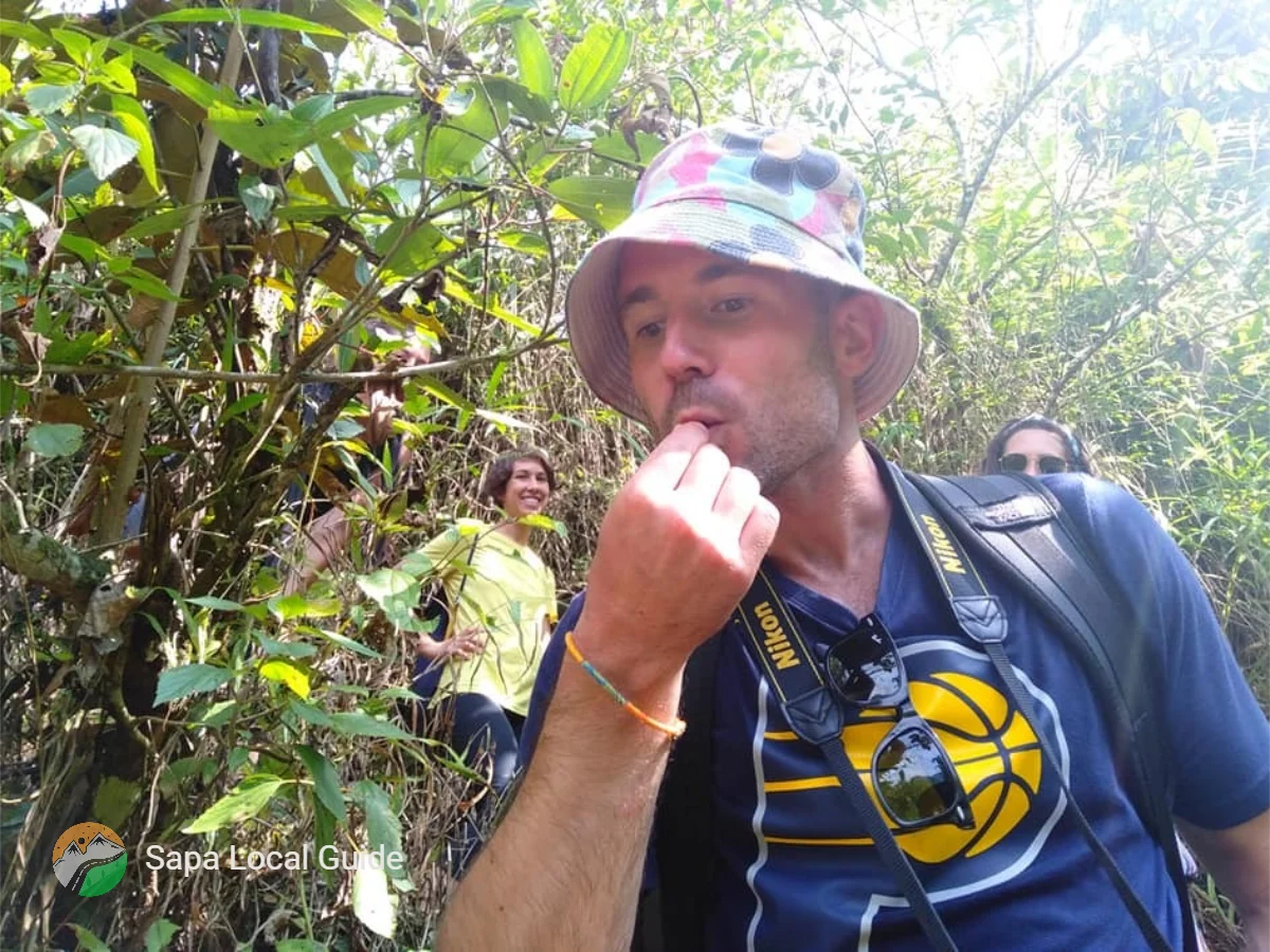 Guided Tours vs. Self-Guided Hiking: Pros and Cons