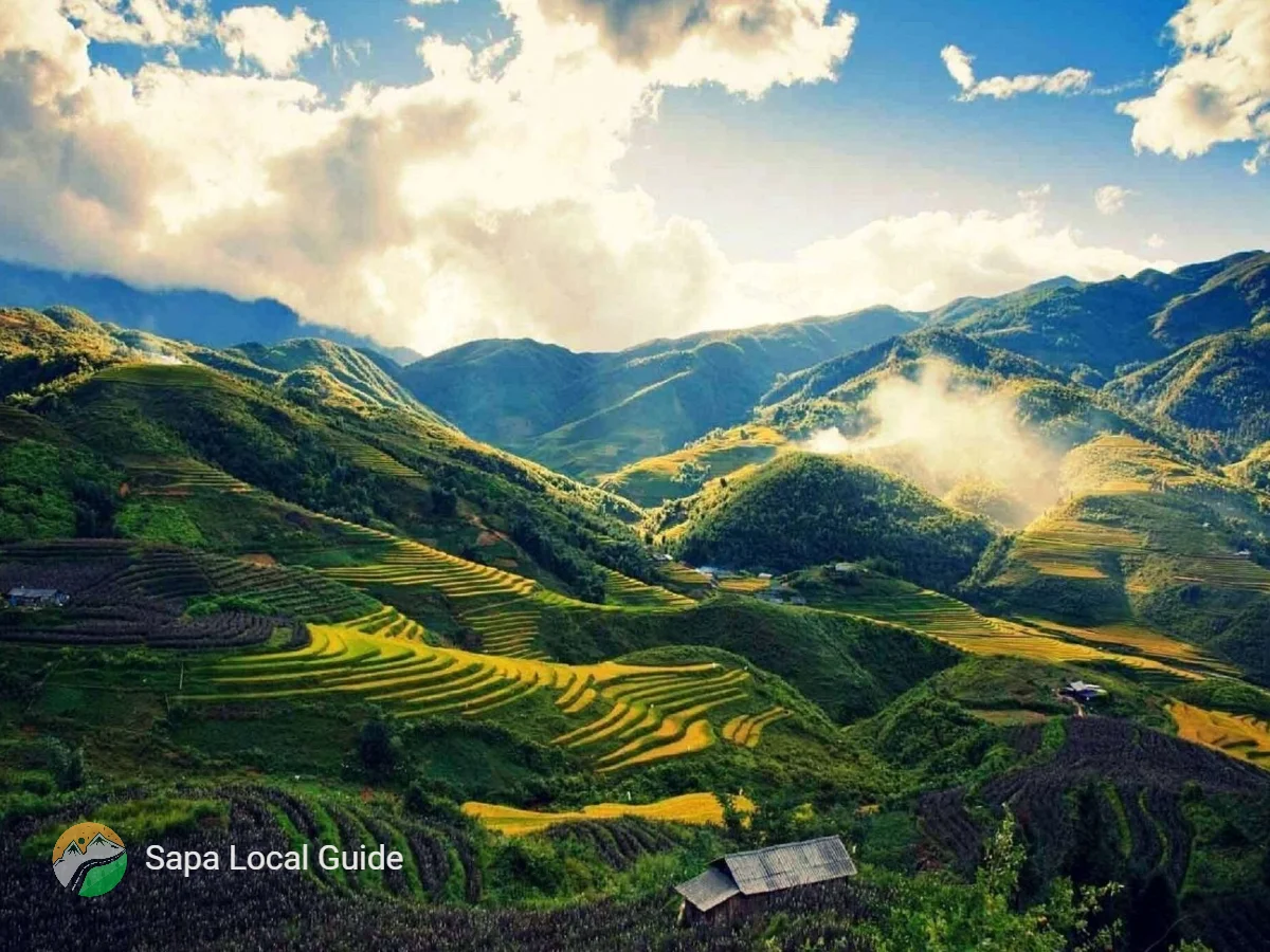 Plan Your Sapa Itinerary: From Mountain Views to Authentic Village Life