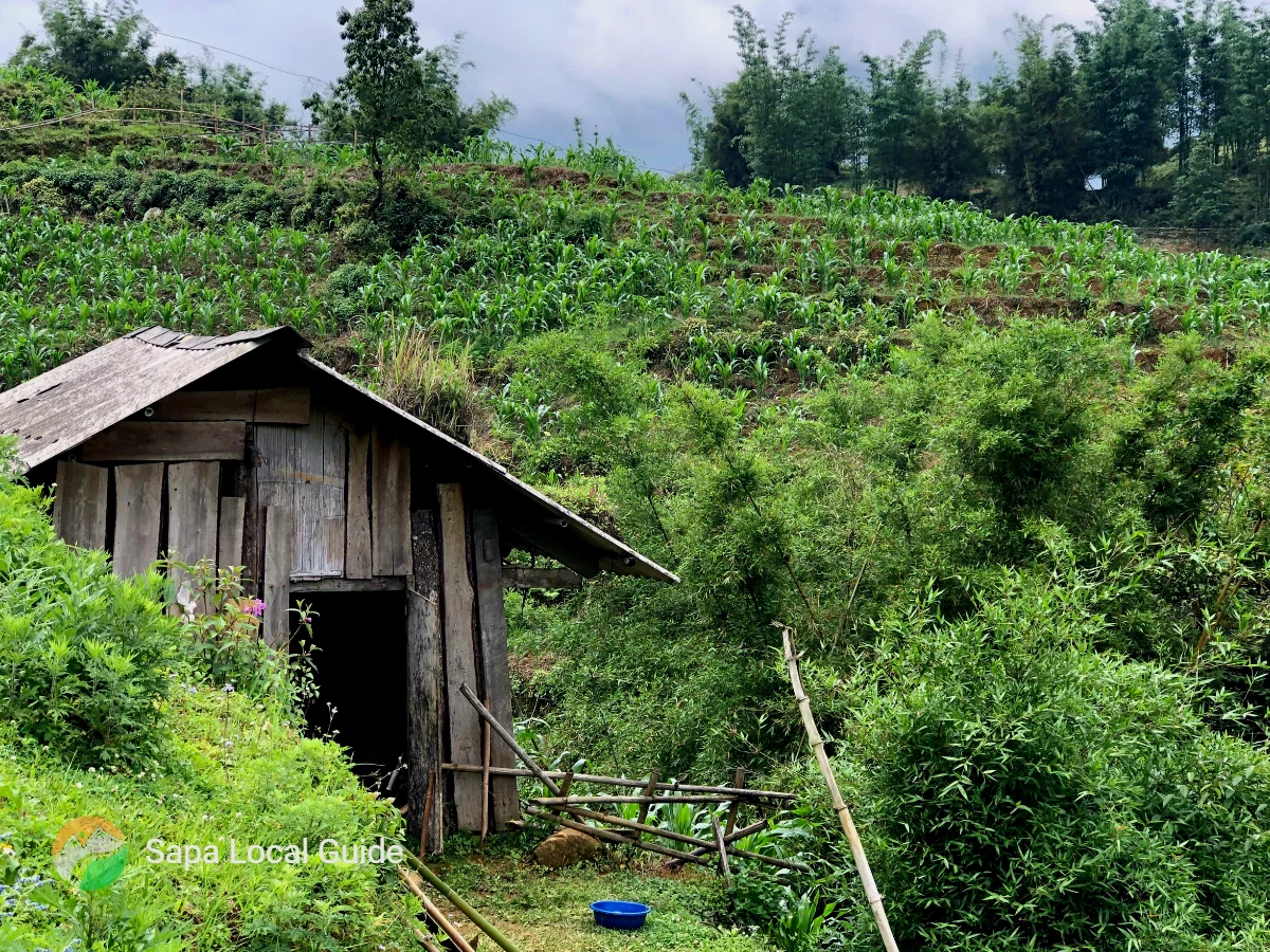 Stay with Local Families in Homestays for a Truly Authentic Experience