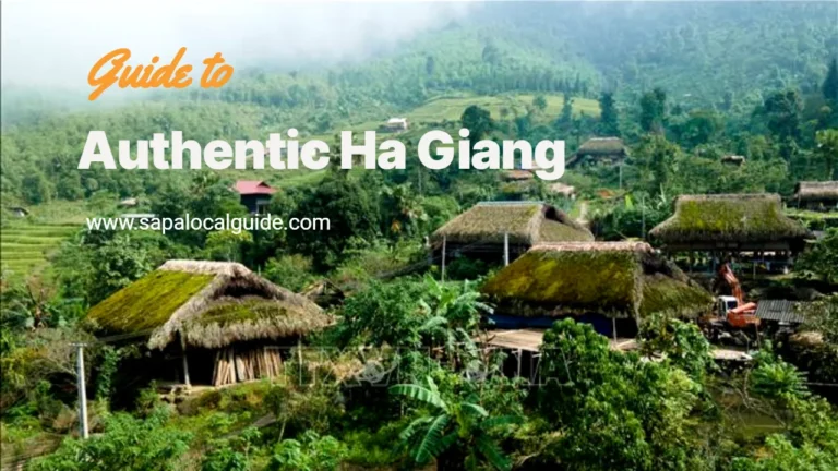 Authentic Ha Giang The Local Tour Experience You’ve Been Looking For