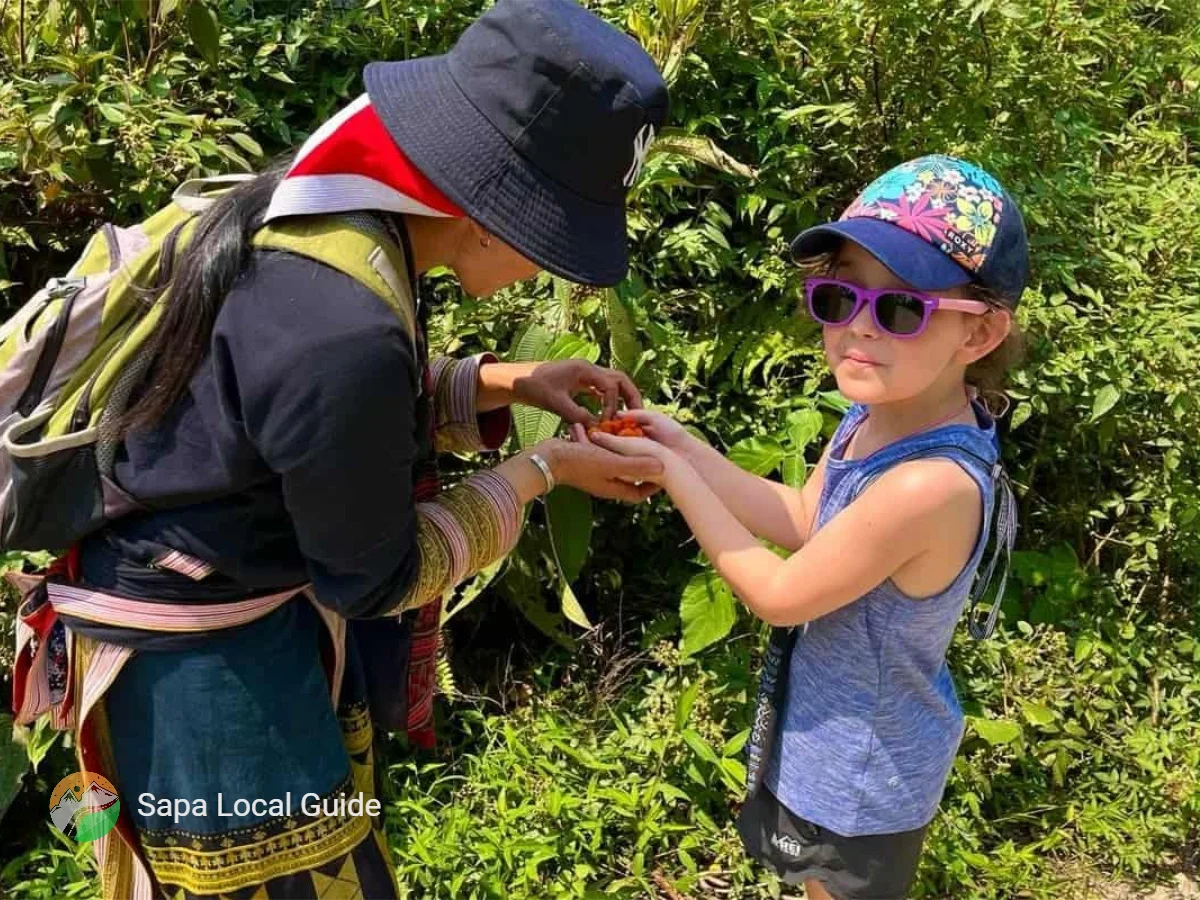 Authentic Trekking Experience with a Local Sapa Guide