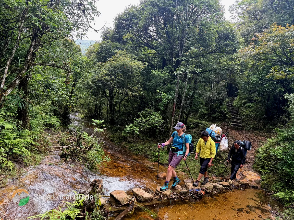Guide to Hiking Mount Fansipan