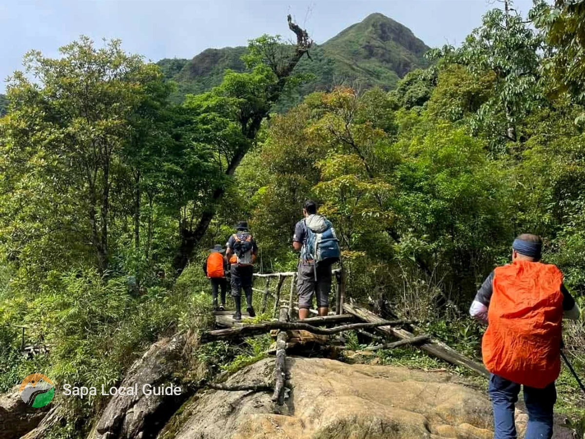 Hidden Trails Off-the-Beaten-Path Adventures in Sapa