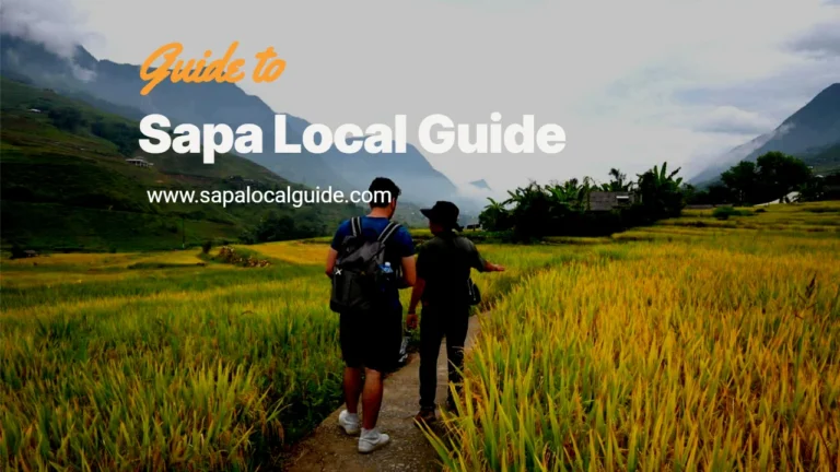 Local Agency What You Need To Know Before Visiting Sapa