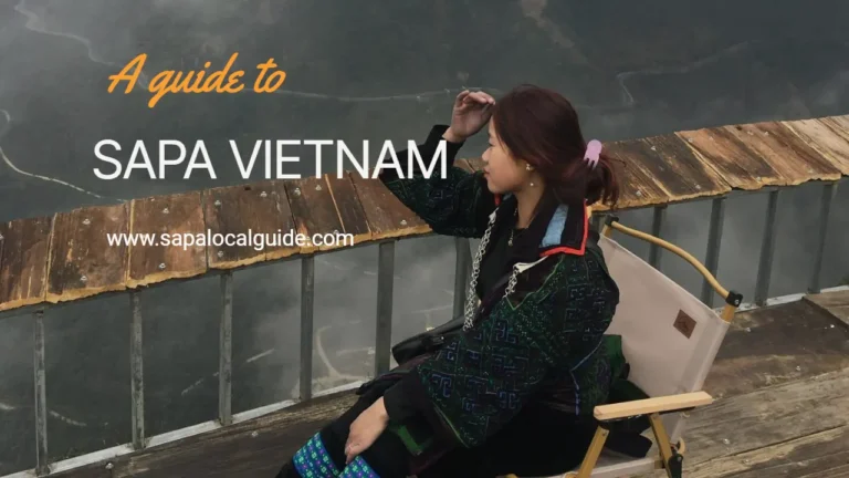 Reasons Why Sapa Might Make You Uneasy