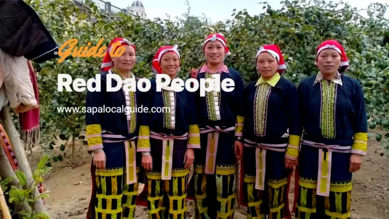 Red Dao People of Sapa a Journey Into Culture With a Local Guide
