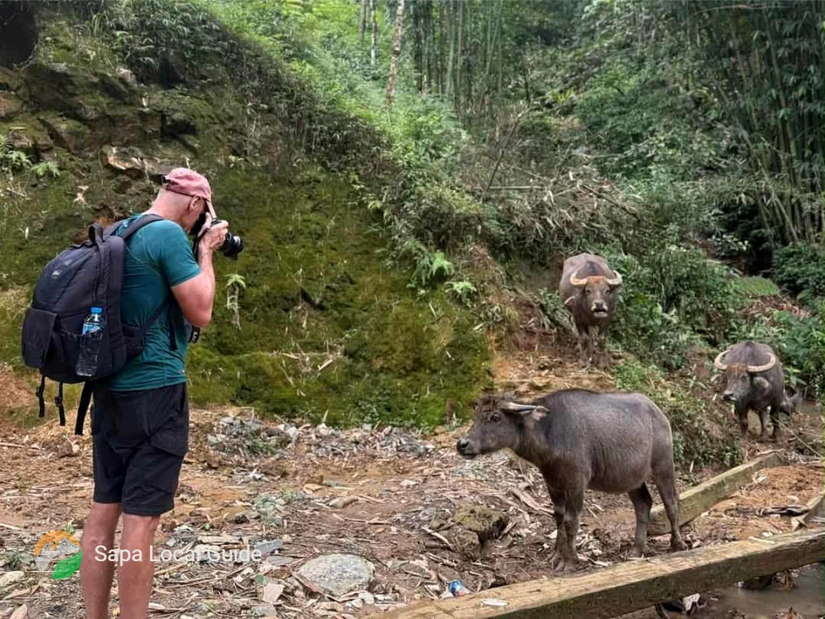 Respecting Red Dao Culture and Traditions