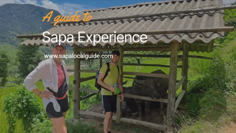 Sapa Experience with local guide