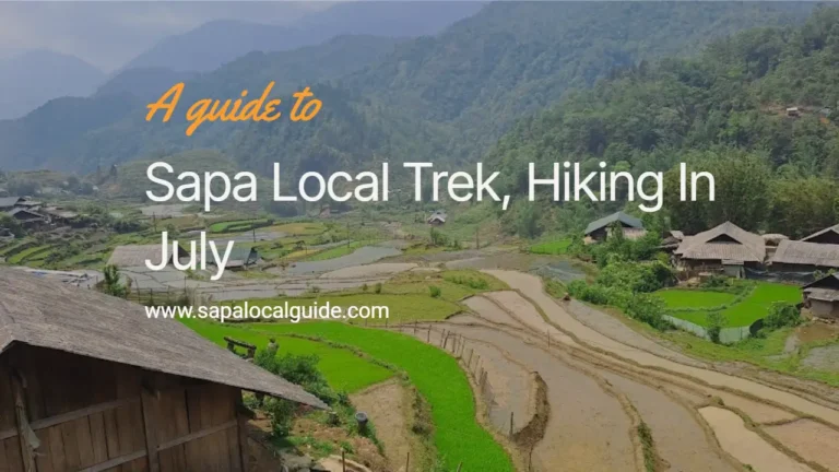Sapa Local Guide Trek, Hiking In July