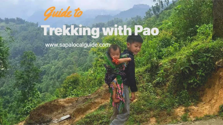 Sapa Local Trekking Tour with Pao