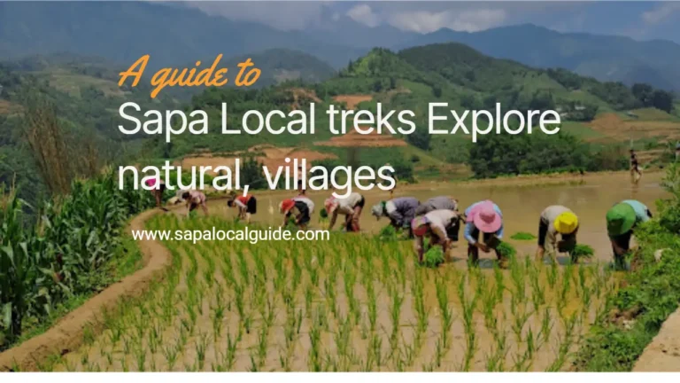 Sapa Local trekking Explore natural, villages