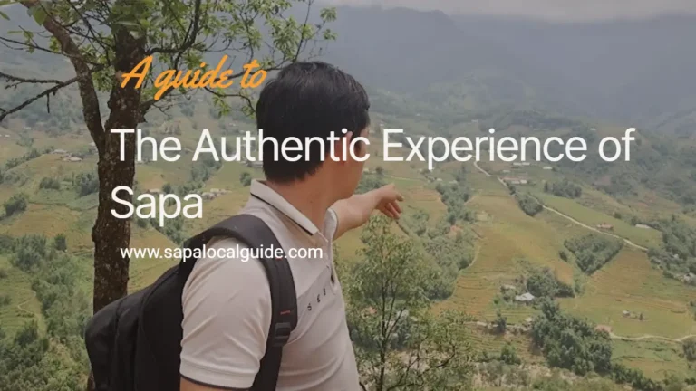 Sapa One day local trekking The Authentic Experience of Sapa Vietnam What You See