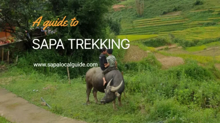 Sapa Trekking