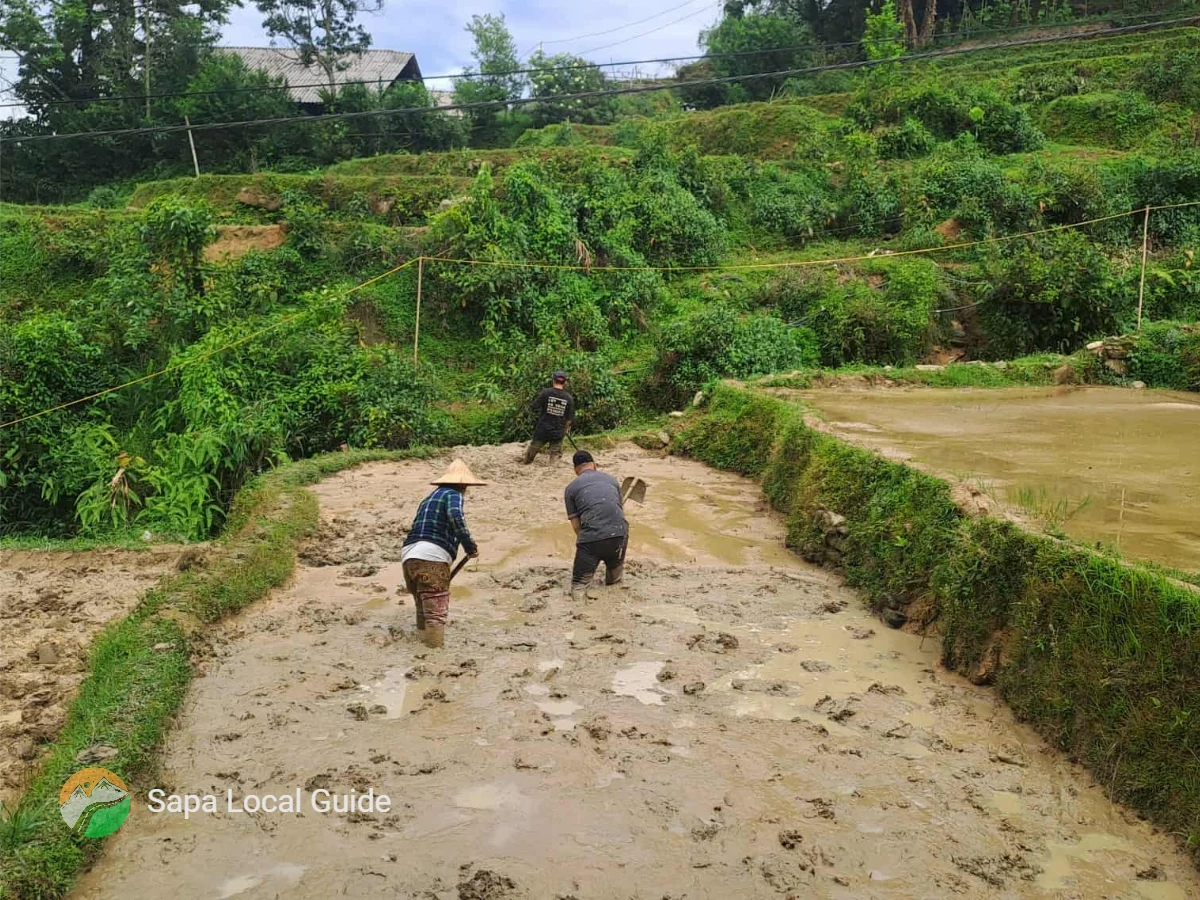 Authentic Daily Life of the Black Hmong in Y Linh Ho Village