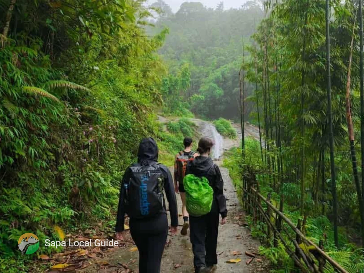Y Linh Ho Trekking Routes: Trails Through Terraced Fields and Mountains