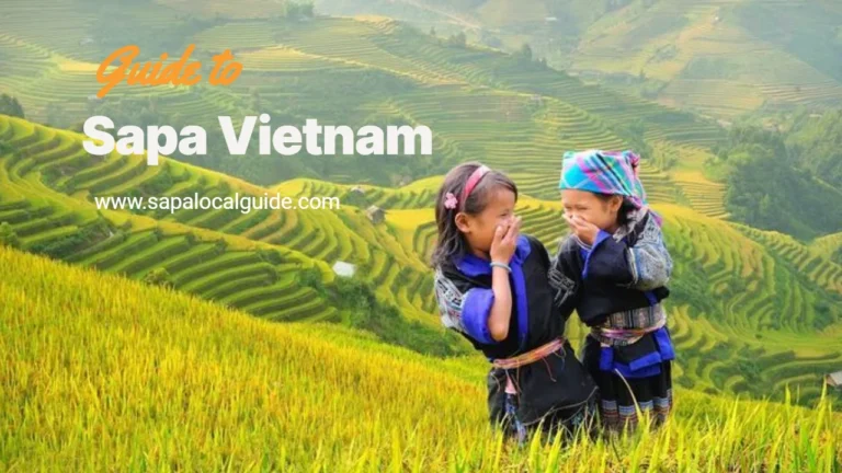 Sapa local guide