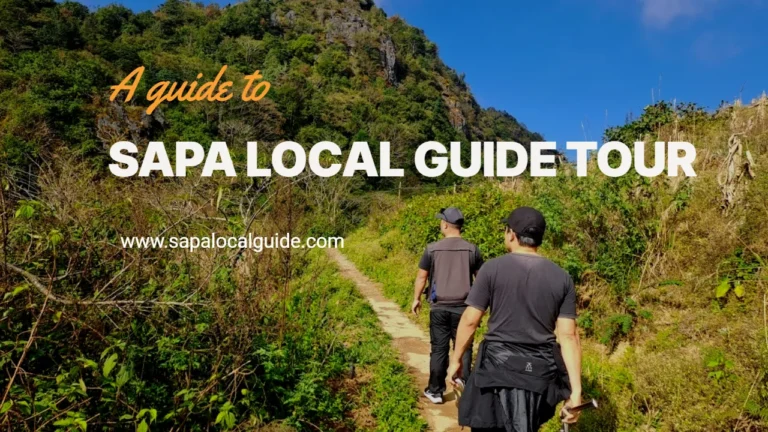 Sapa local guide tour