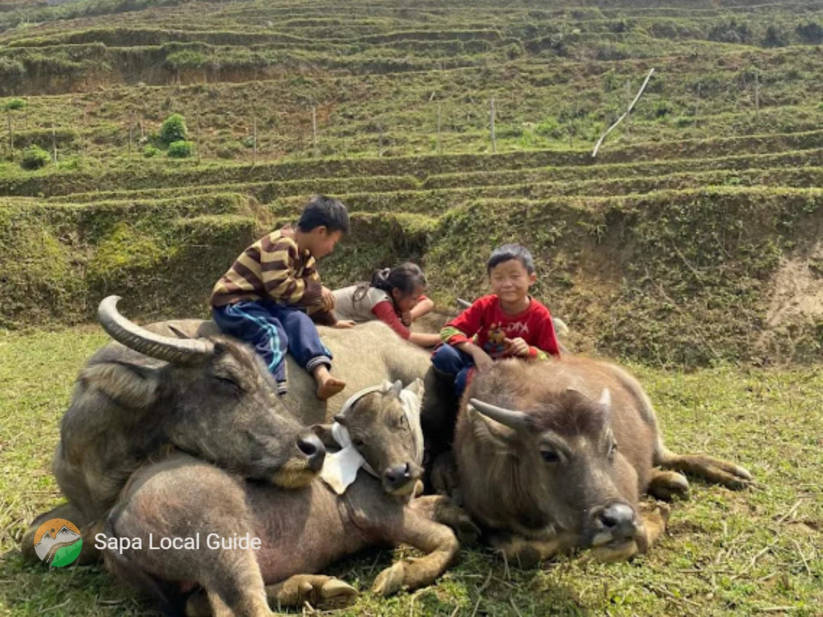 Suggested Itinerary for the Ha Giang 3-Day Loop with Local Guide
