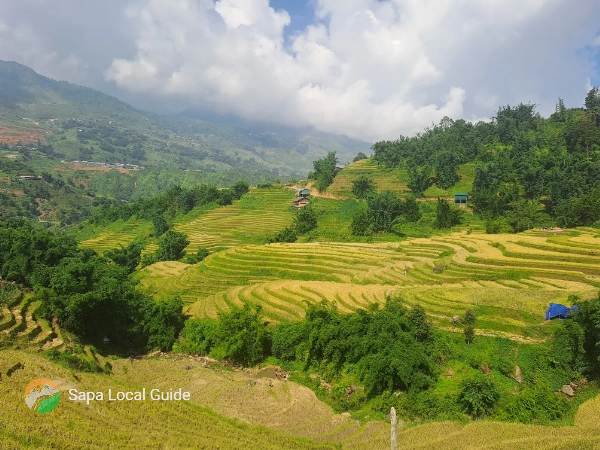 Best Time to Go Trekking in Sapa