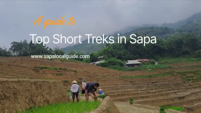 Local tour Trekking Sapa