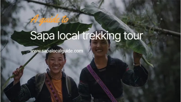 Sapa local trekking tour: Things you need to know when coming to Sapa