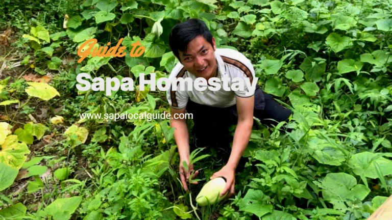 Stay in Sapa for an Authentic Local Experience