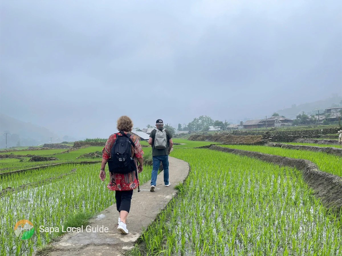 Trekking Through Lao Chai Village – Discover Black Hmong Culture Amid Mountain Majesty