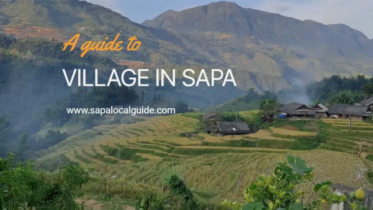 NamCang Village, Places To See Terraced Rice Fields