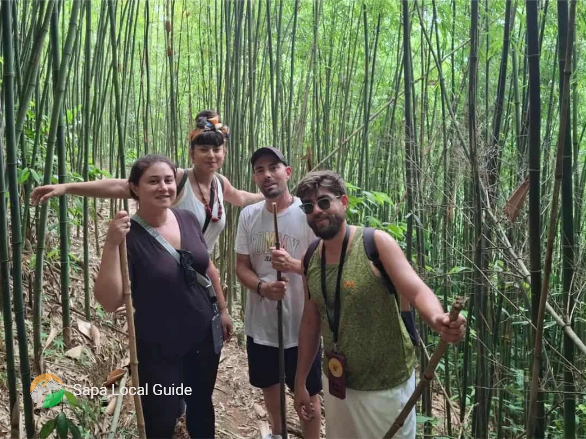 Walk Through Beautiful Rice Terraces and Bamboo Forests
