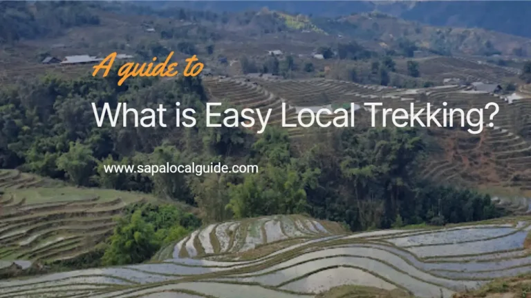 What is Easy Local Trekking