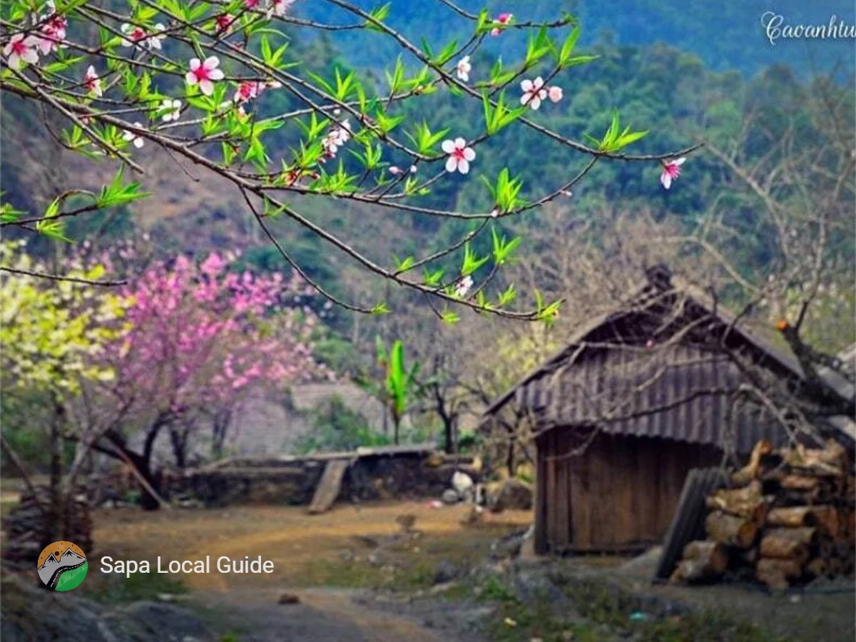 Authentic Ha Giang: The Local Tour Experience You’ve Been Looking For