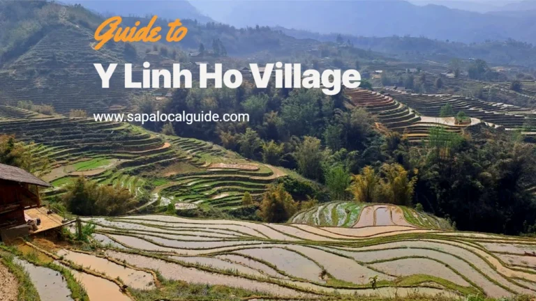 Y Linh Ho Village: Discover the Most Authentic Sapa Experience