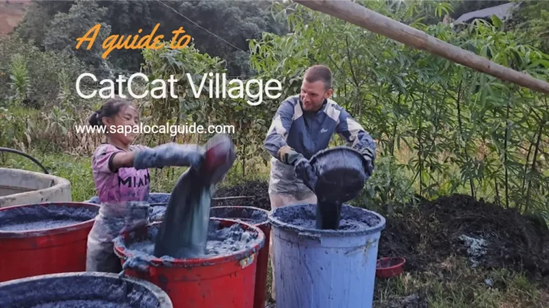 catcat village