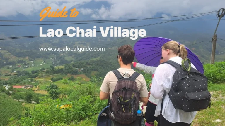 chai-village-an-authentic-sapa-experience