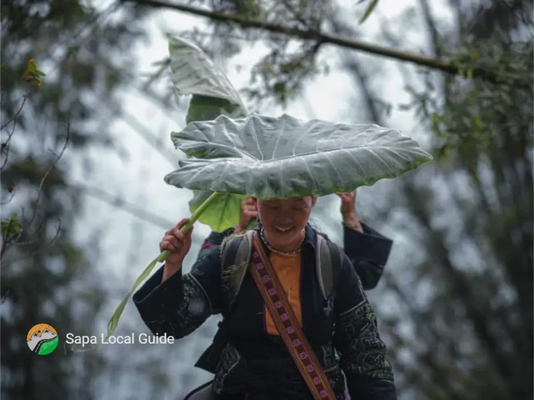 Sapa Local Multi-Day Trekking Tours: Discover Villages Scenery