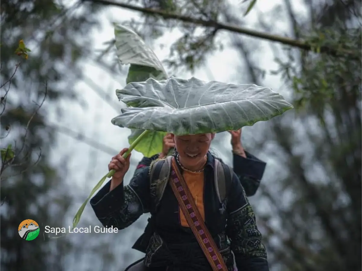 Sapa Self Tour: Explore famous trekking tourist villages on your own ...