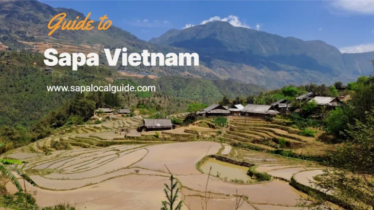 sapa local guide tour (2)